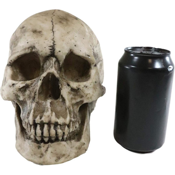 Halloween Vampire Decorative Accent