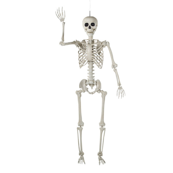 Halloween Skeleton Decorative Accent