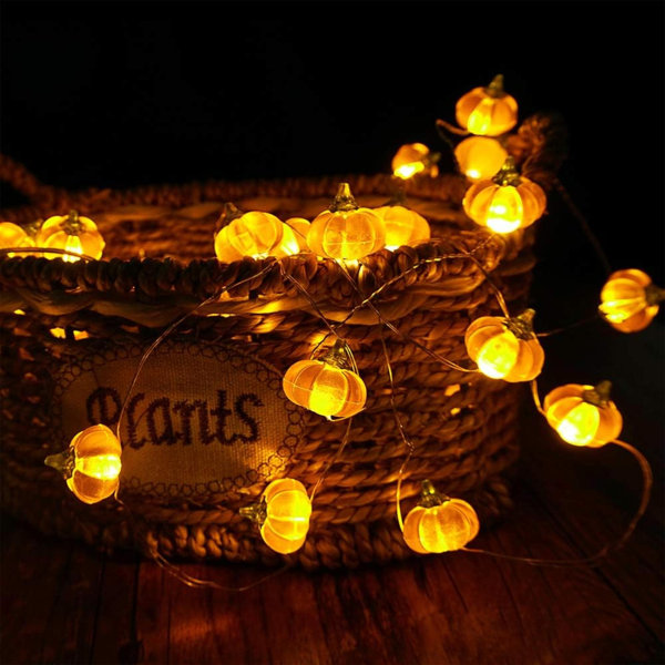 3.43 " Indoor / Outdoor String Lights