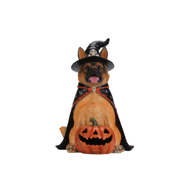 19.69 Inch Halloween Black Labrador Retriever Dog Statue, Sitting Dog Figurine with Witch Hat & Cape, LED Light Up Jack-O-Lantern Pumpkin
